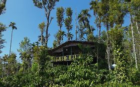 The Mountain Tree Home