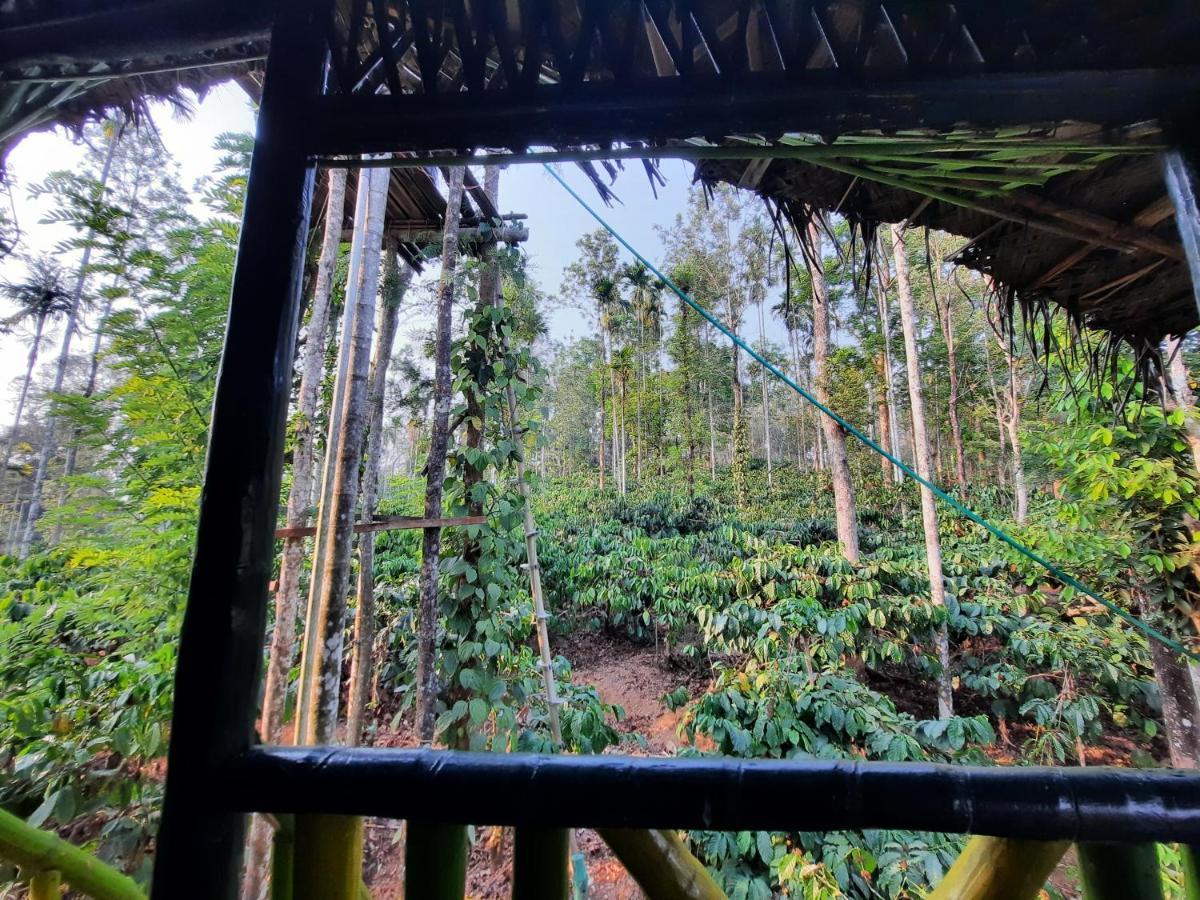 The Mountain Tree Home Wayanad Exterior photo