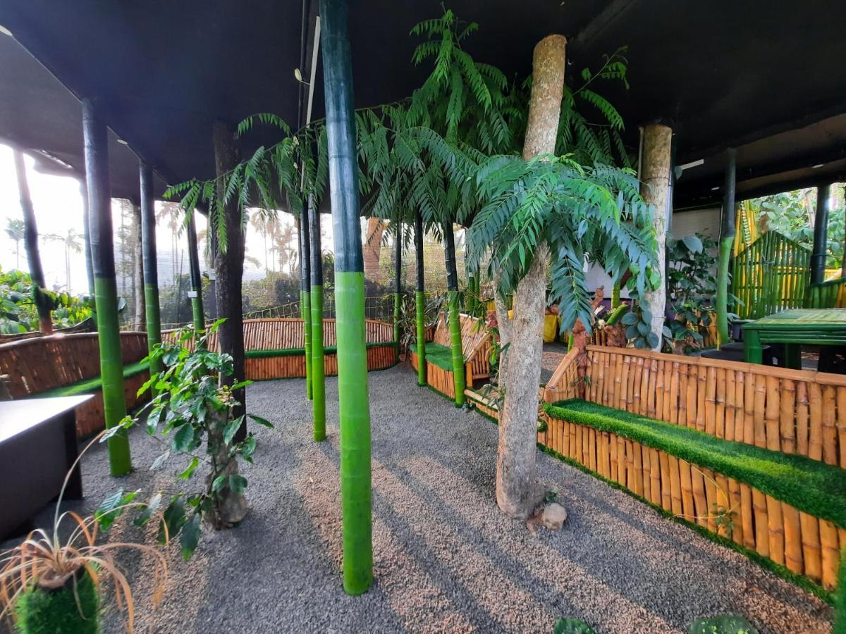 The Mountain Tree Home Wayanad Exterior photo