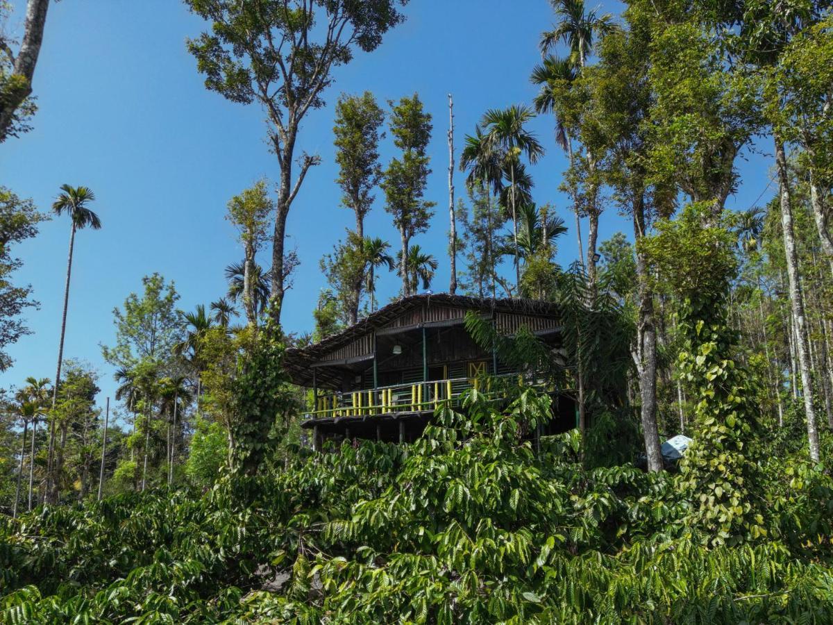 The Mountain Tree Home Wayanad Exterior photo
