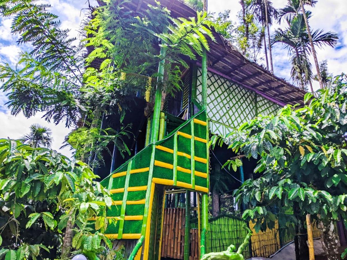 The Mountain Tree Home Wayanad Exterior photo